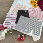 百搭条纹休闲款 骑行裤 宝宝打底裤 儿童骑行裤 五分裤 韩版 鲨鱼裤 夏款