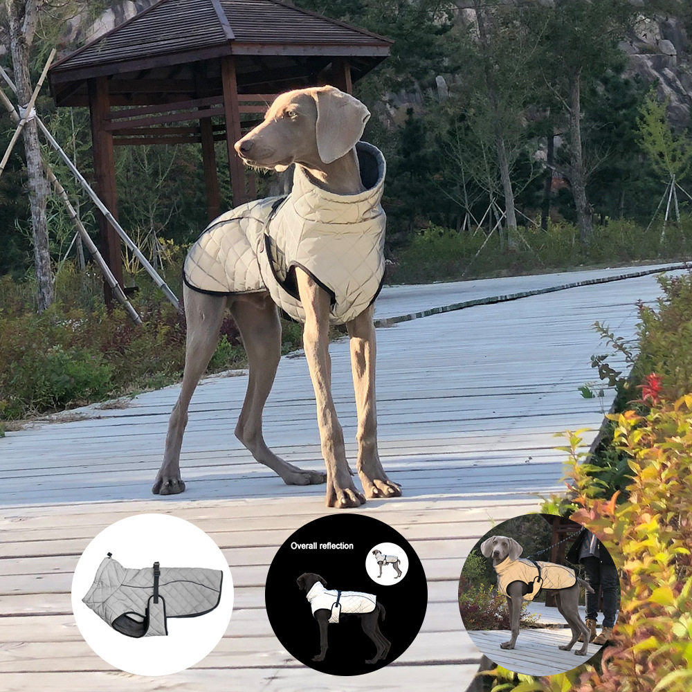 冬季狗狗保暖冲锋衣全身反光大狗衣服金毛萨摩中型大型犬防水衣服