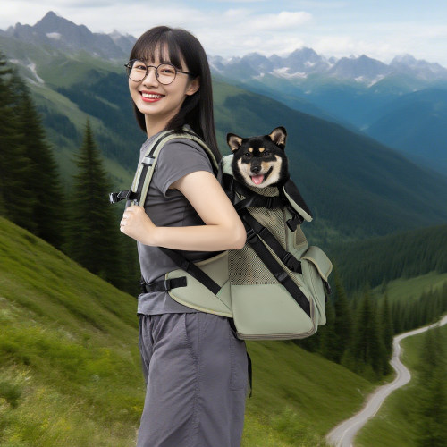 狗狗竖背双肩包外出透气登山包