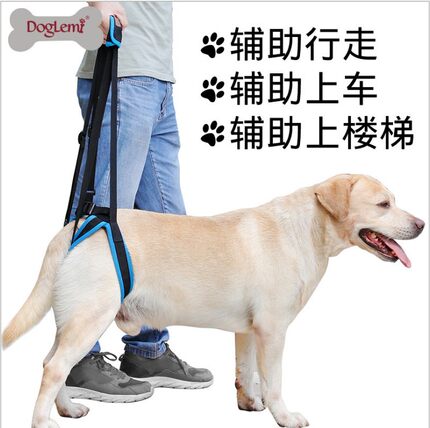 狗狗后腿残疾辅助带高老龄犬腿受伤无力支架牵引绳背带不影响排泄