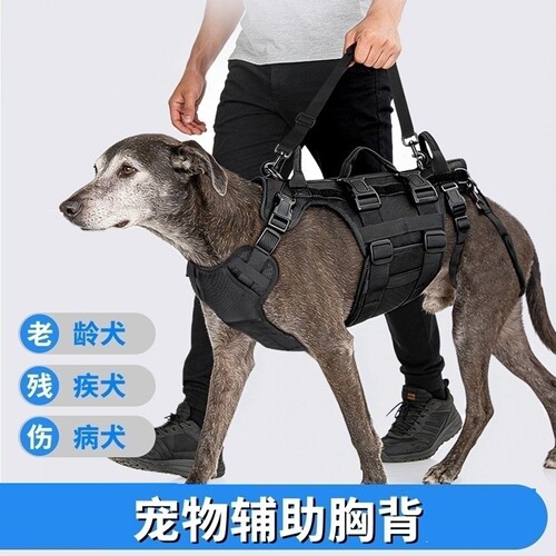 宠物全身辅助胸背带前后腿牵引绳