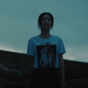 欧洲除恶蔡文静李晓雅同款短袖t恤夏季楚楚印花圆领上衣女衣服潮