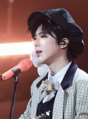 欧洲明星刘宇宁同款黑色帽子男女ins鸭舌贝雷帽百搭英伦八角帽潮