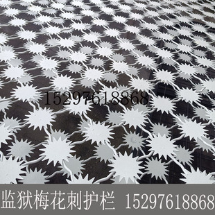 监狱梅花刺太阳花护栏不锈钢热镀锌喷塑看守所通道金属钢网墙围栏