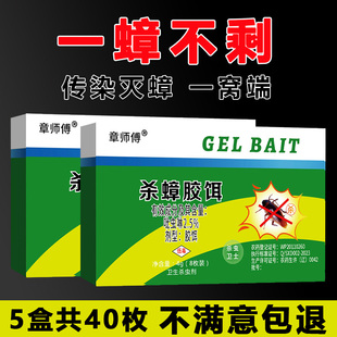 蟑螂药非无毒家用全窝端强效第一名虫卵双杀贴墙诱饵盒灭小强克星