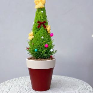 圣诞风可爱红陶花盆新款手绘蝴蝶兰秋海棠绿植花盆