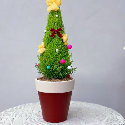 圣诞风可爱红陶花盆新款手绘蝴蝶兰秋海棠绿植花盆