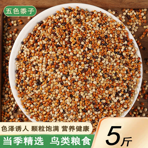 新货五色黍子虎皮牡丹鸟食饲料