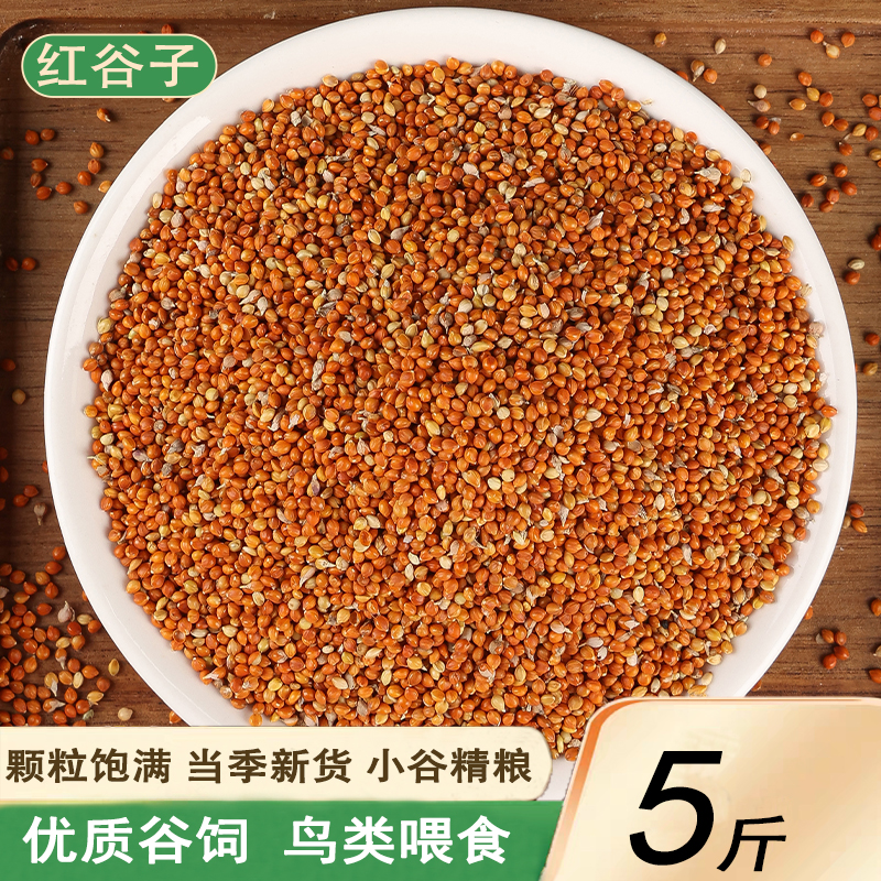 红谷子鹦鹉饲料鸟食玄凤谷子