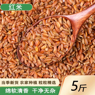 新红米 5斤新米农家自种红糙米粳米血稻米红香米五谷杂粮红色大米