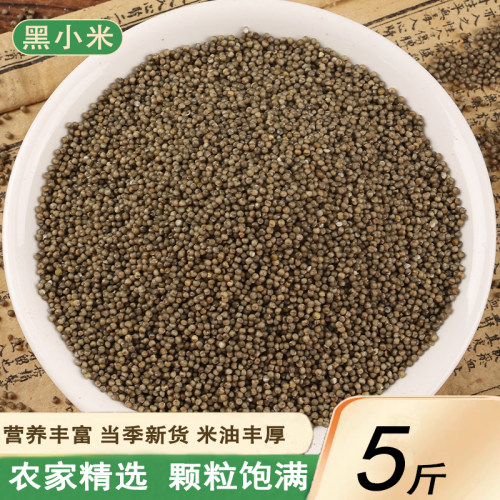 新货黑小米5斤农家自种黑色小米