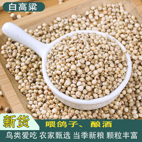 白高粱鹦鹉原粮鸽粮甄选好粮