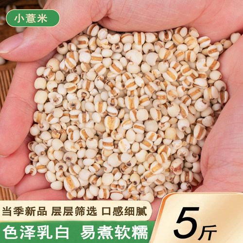 新小薏米仁5斤农家自产薏苡仁