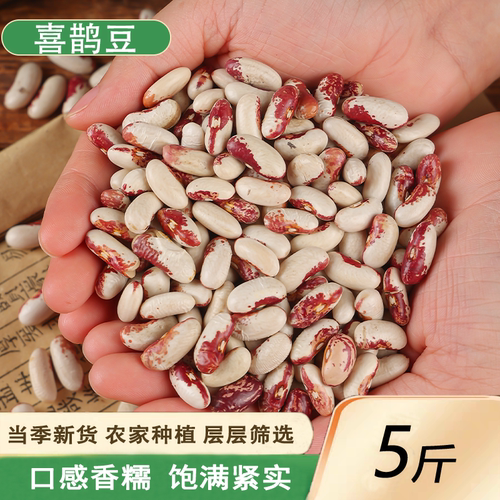 新货喜鹊豆花芸豆5斤包邮