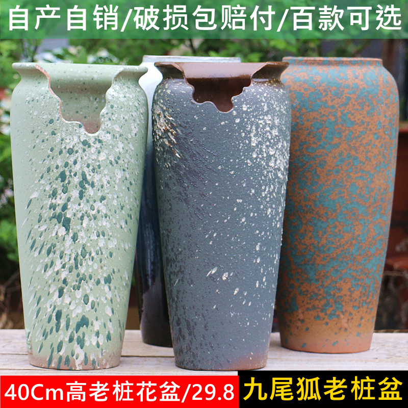 缺口悬崖老桩高盆