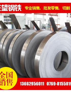 DIN EN 10346 HX340LAD+Z汽车钢板带钢,镀锌卷定尺开平