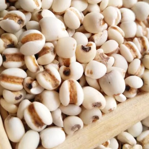 小薏米新货薏米仁薏仁米包邮