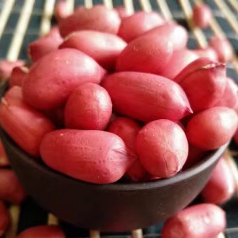 东北农家红皮花生米1斤500g满