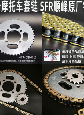 适用 豪爵DR160SDR150SHJ150-10C10D摩托车牙盘油封链条三件套