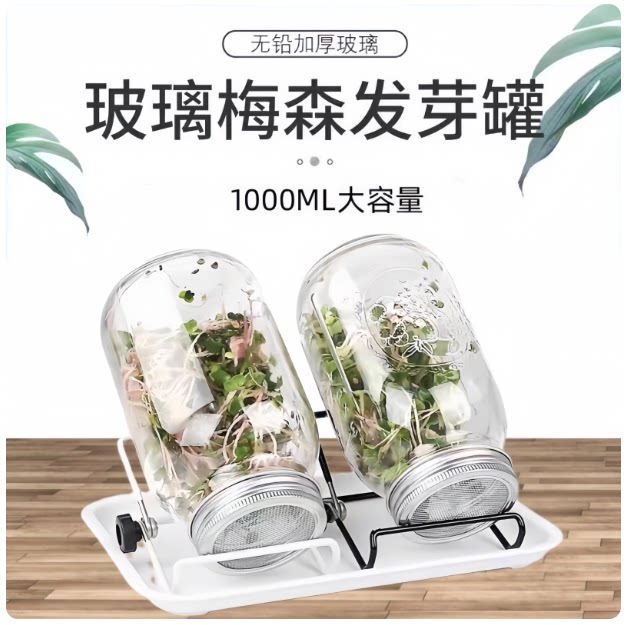 梅森瓶玻璃果酱瓶玻璃瓶水果罐头密封罐
