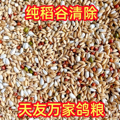 天友万家鸽粮纯稻谷清除鸽粮