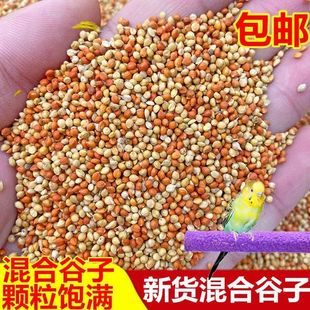 黄谷子红谷子混合带壳谷子颗粒饱满中小型鹦鹉鸟粮鸟食饲料包邮