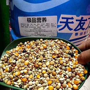 天友万家鸽粮级品营养信鸽赛鸽种鸽幼鸽粮5斤10斤30斤50斤包邮