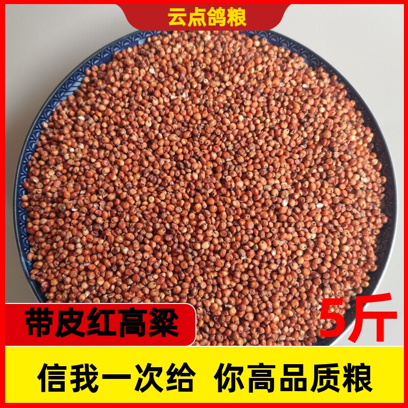 鸽粮幼鸽带皮红高粮农家鸽子食粮酿酒高梁米5斤包邮鸽子饲料鸽粮