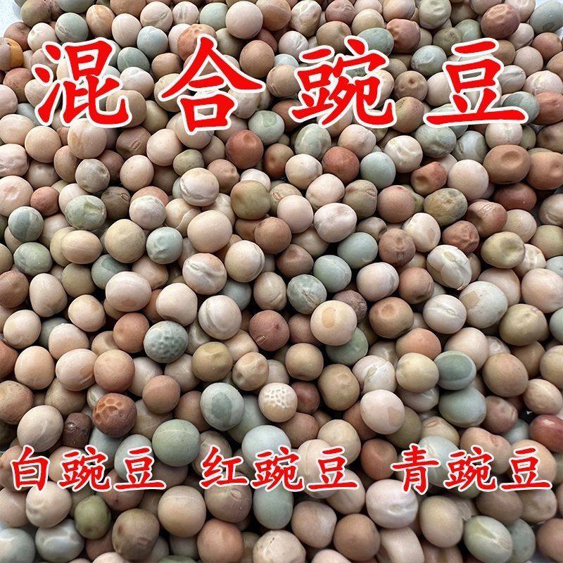 混合豌豆10斤30斤高蛋白鸽子饲料鸽料青豌豆红豌豆白豌豆鸽粮新鲜