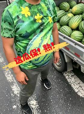 西瓜图案短袖3d印花2026夏季热卖休闲潮流T恤衫上衣儿童趣味衣服