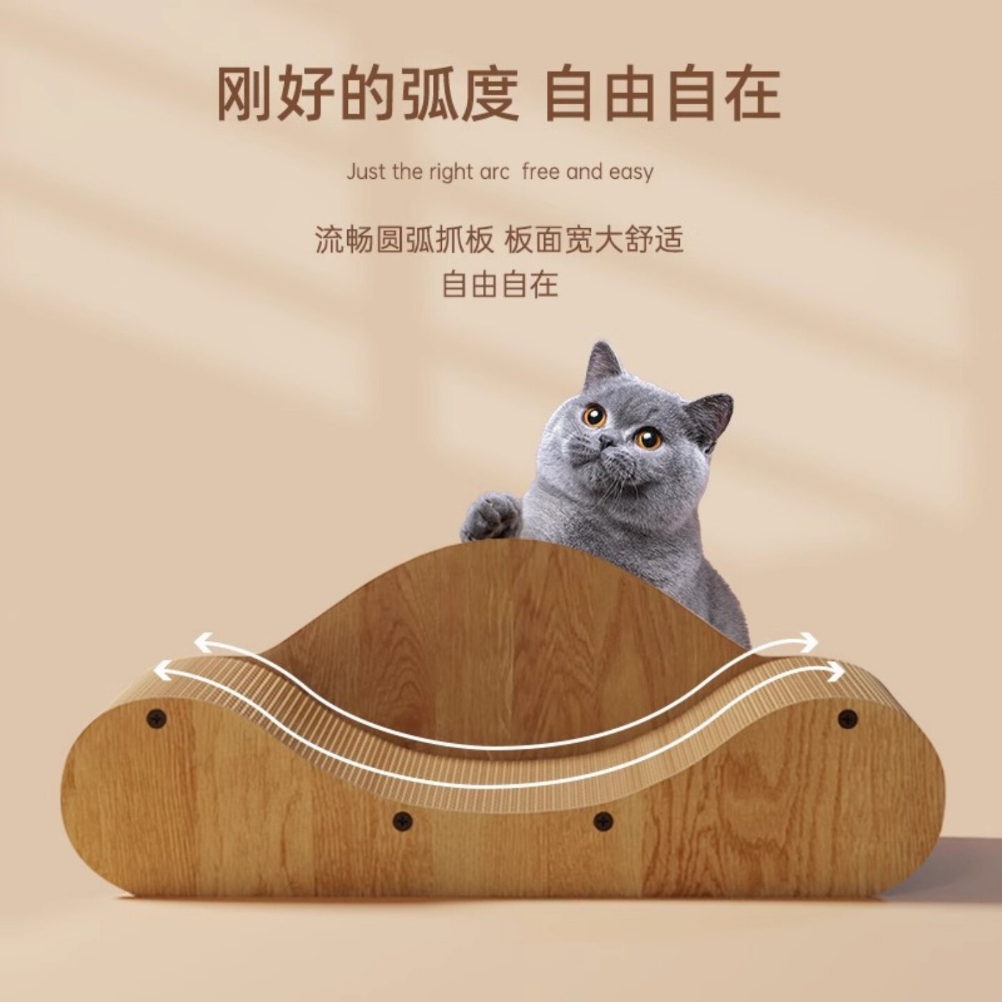 透气不闷热耐磨耐抓宠纪元