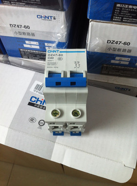 正泰DZ47-60小型断路器总闸C型空开两相家用空气开关2P 1032A60A