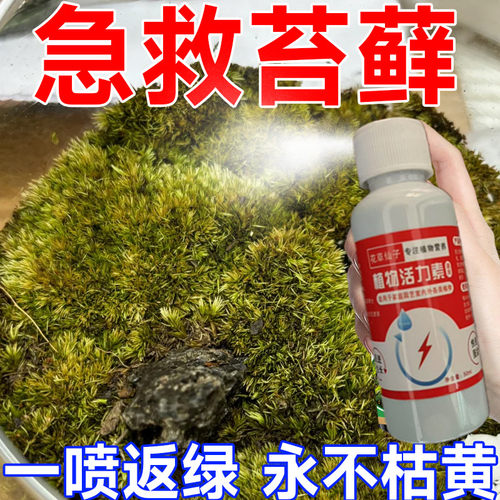 苔藓营养液专用肥盆栽微景观造景绿植生根液体治干枯黄叶增绿肥料