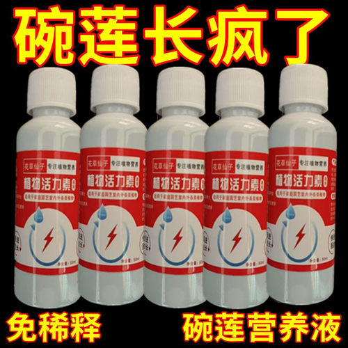 碗莲营养液专用防黄叶发黑烂叶催芽促开花增肥专用液体肥