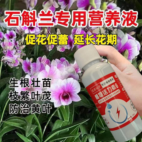 【猛窜新芽】石斛兰营养液铁皮石斛专用肥料生根壮苗催花盆栽花肥
