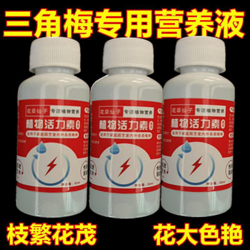三角梅肥料专用肥 植物营养液 梅花家用花卉养花促开花