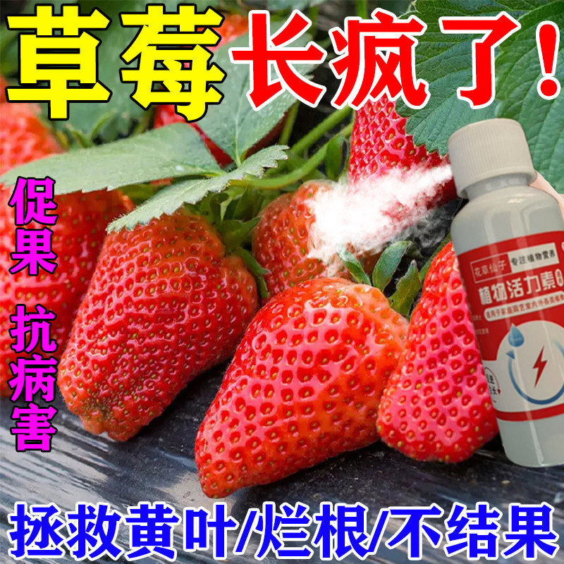 草莓营养液专用复合肥料有机发酵肥营养土水溶肥防黄叶催花促结果