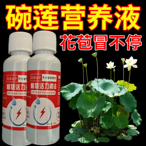 碗莲营养液睡莲荷花盆栽生根催发芽促开花水溶肥水培绿植专用肥料