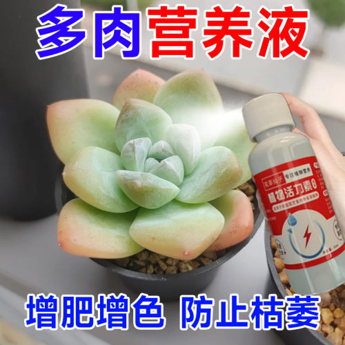 【急救】多肉营养液专用肥肉肉增色生根矮胖素肥料家用盆栽专用肥