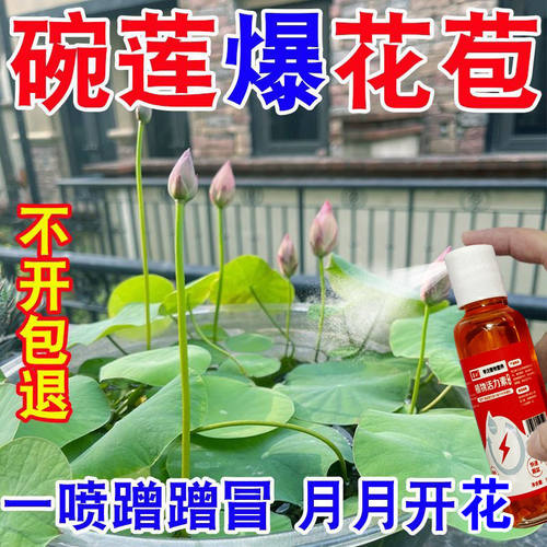 蹭蹭开】碗莲睡莲专用营养液促发芽开花延长花期防烂叶枯萎新型肥