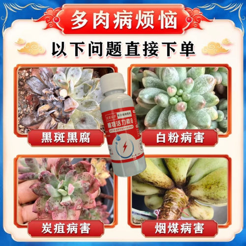 多肉出锦药水变红增色剂专用营养液暴爆牙增红增肥金枝玉叶变色剂
