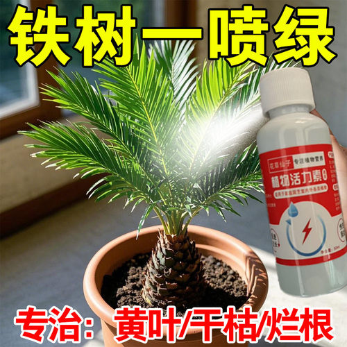 铁树专用肥料营养液室内盆栽植物营养液通用型治叶子发黄