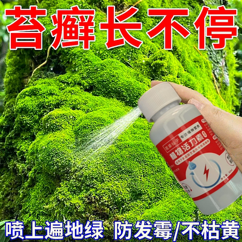 苔藓专用营养液绿植青苔微景观专用灯杀虫剂增绿防枯黄催孢子肥