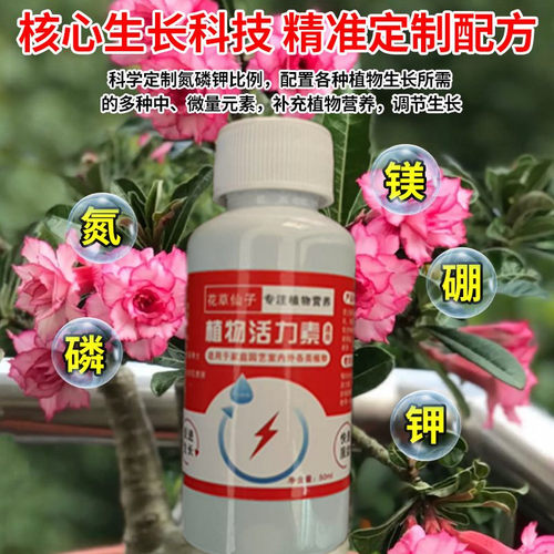 沙漠玫瑰专用肥沙漠玫瑰催花营养液防黄叶干尖不开花延长花期花肥