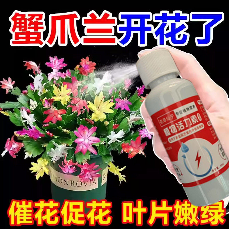 蟹爪兰催花剂专治黄叶发红不开花叶片瘦弱打蔫掉叶专用营养液肥料