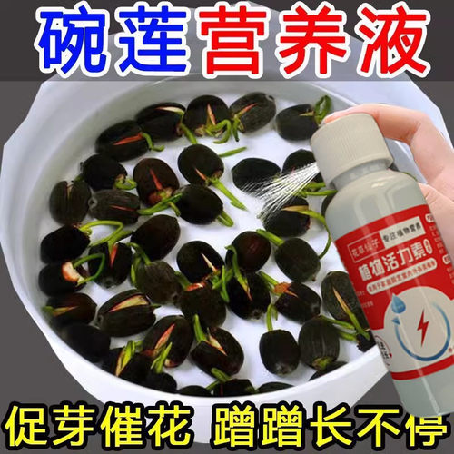 碗莲营养液水培睡莲专用肥料促进开花荷花水溶肥土培通用花卉肥料
