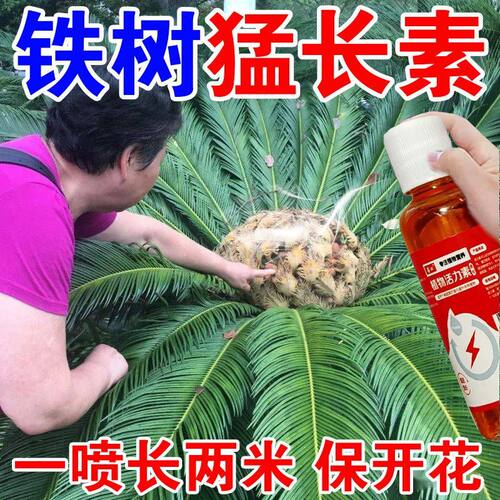 铁树专用营养液促生长防黄叶枯萎叶斑烂根径杆黄液体肥营养液