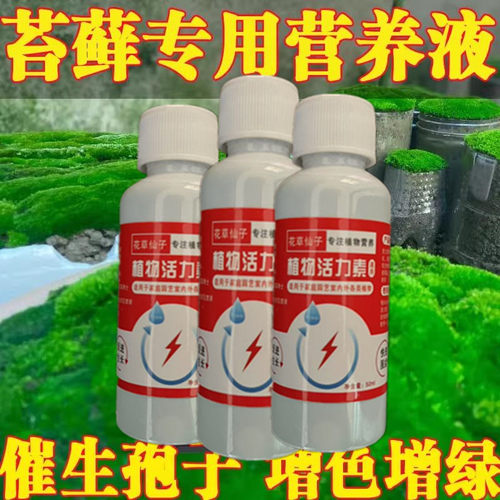 【急救苔藓】苔藓专用营养液免稀释液体肥料微景观生态瓶黄叶肥料