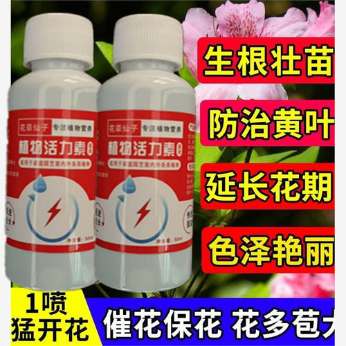 【杜鹃花怎么养殖】杜鹃花专用营养液叶枯病药促开花养不死专用肥