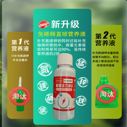 月月开花】三角梅专用营养液治黄叶枯萎落叶不开花催芽促花叶面肥